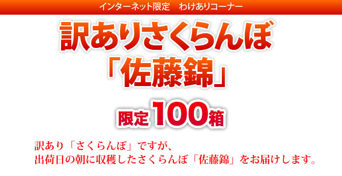 インターネット限定　訳ありコーナー　訳ありさくらんぼ