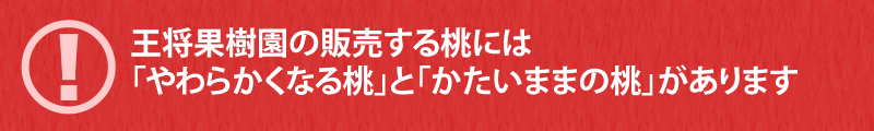 王将果樹園の販売する桃には「やわらかくなる桃」と「かたいままの桃」があります