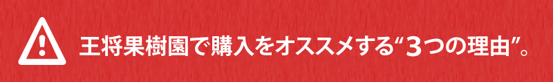 王将果樹園で商品の購入をお薦めする3つの理由