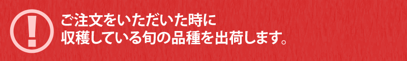 ご注文をいただいた時に収穫している旬の品種を出荷します。