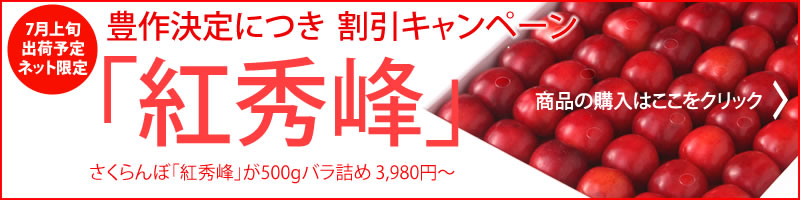 人気急上昇!!　山形のさくらんぼ“紅秀峰”はこちらから