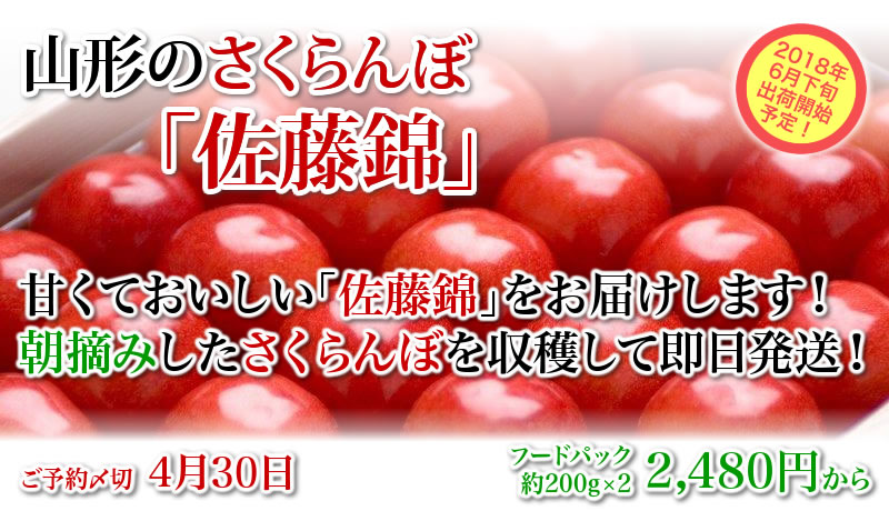 山形のさくらんぼ「佐藤錦」2018年6月中旬