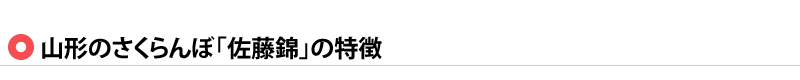 山形のさくらんぼの特徴