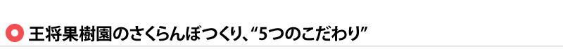 王将果樹園のさくらんぼづくり、5つのこだわり