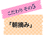 こだわり5「朝摘み」