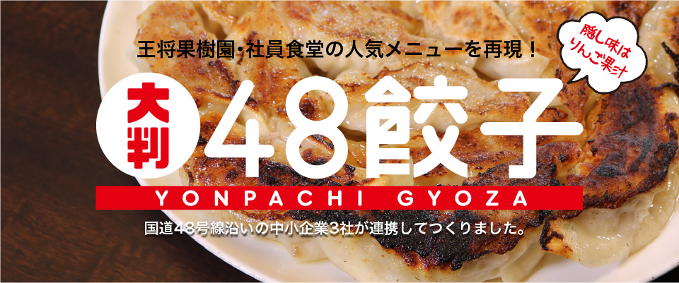 大判48餃子お試しセット4パック3240円