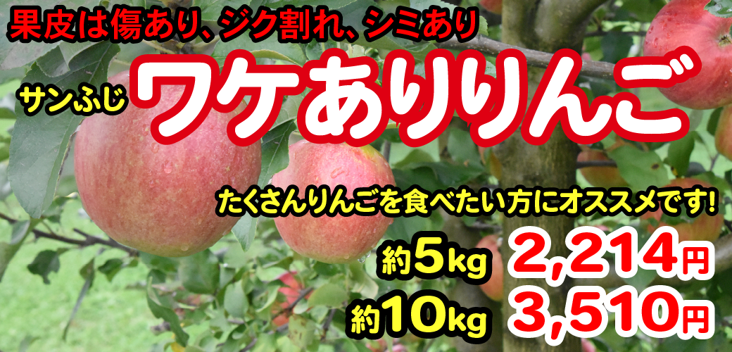 ワケありりんご