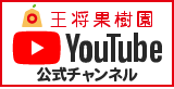 YouTubeはじめました