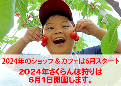 2022年の果物狩りは6月上旬からの予定です。