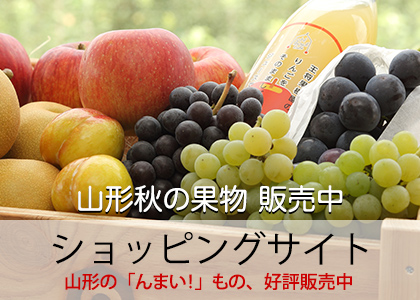 山形で さくらんぼ 桃 ぶどう りんご狩りは王将果樹園 やまがたさくらんぼファーム 山形で さくらんぼ 桃 ぶどう りんご狩りは王将果樹園 やまがたさくらんぼファーム