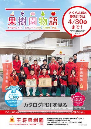 さくらんぼ・特価セール