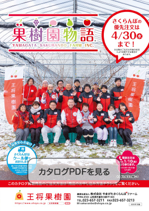 新春セール・雪国りんご、さくらんぼ