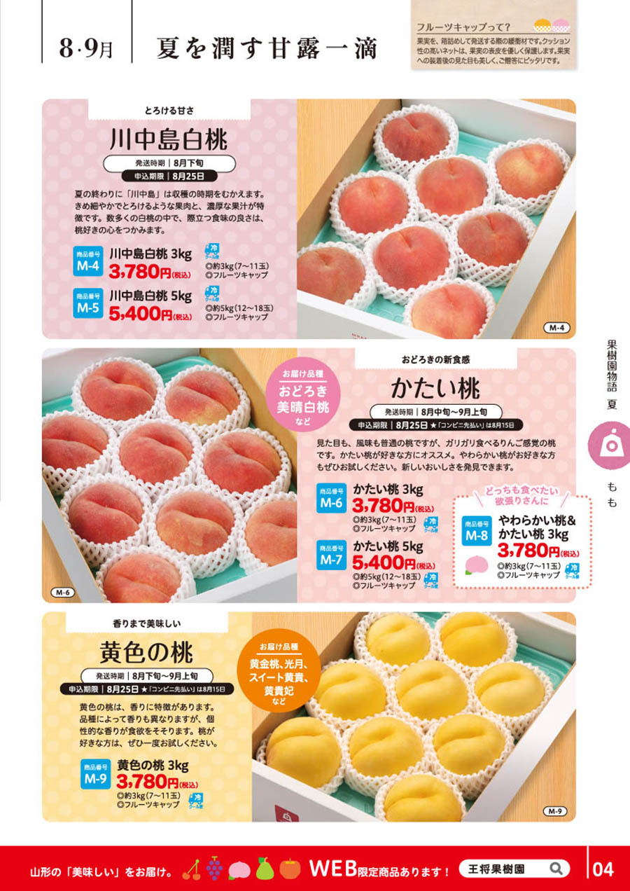川中島白桃 かたい桃 黄色の桃｜やまがたさくらんぼファーム（王将果樹園）