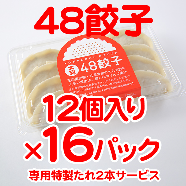 48餃子192個セット