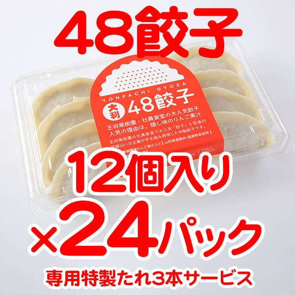 48餃子288個セット