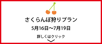 さくらんぼ狩りプランのご案内