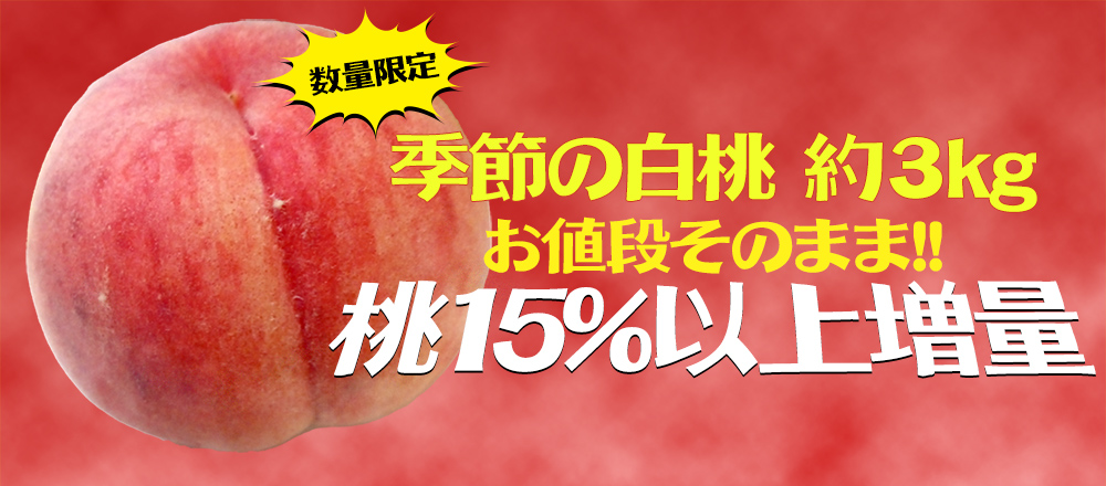 季節の白桃 約3kgを15％以上増量お値段そのまま