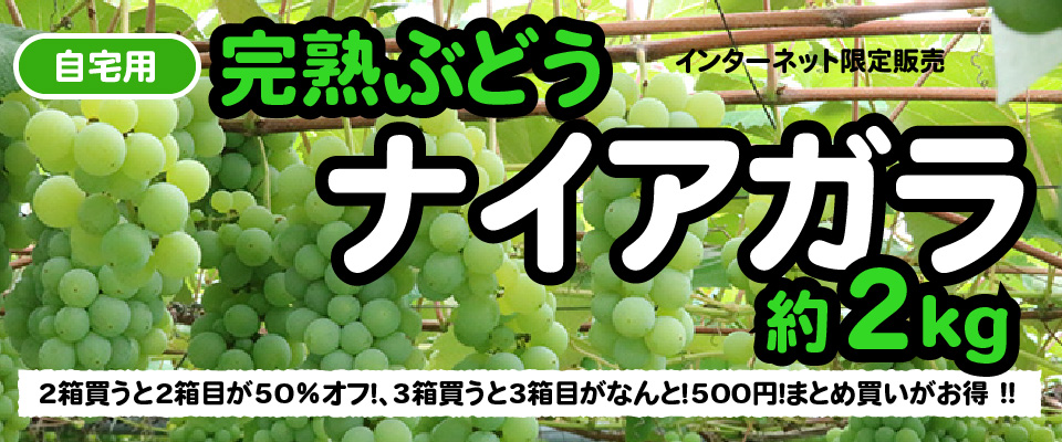 自宅用ナイアガラ　2箱以上注文でお得になる