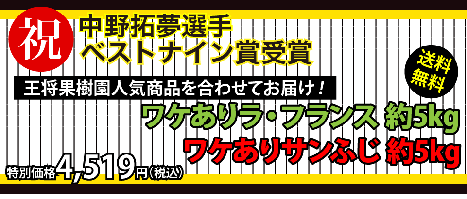 中野拓夢選手ベストナイン賞受賞を記念特別販売