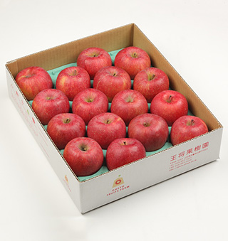 大玉サンふじ約5kg