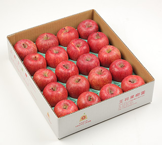 中玉サンふじ　約10kg