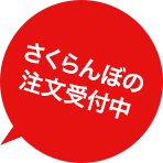 さくらんぼ予約販売中！