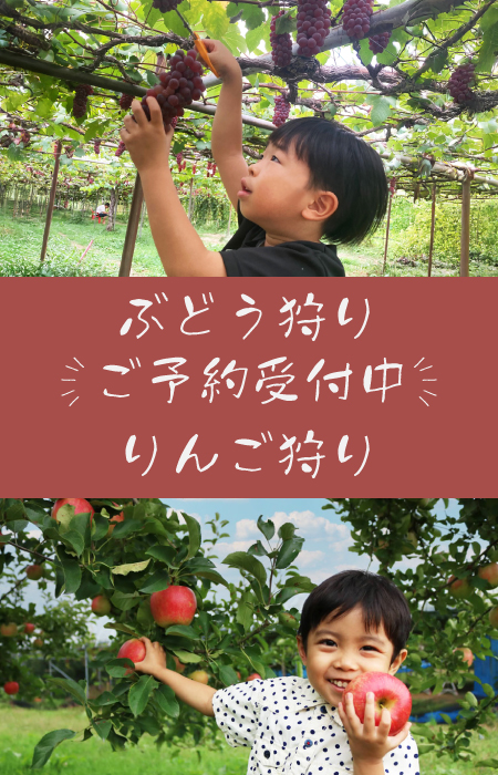 ぶどう狩り・りんご狩りご予約受付中