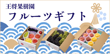 オンラインショップはこちら