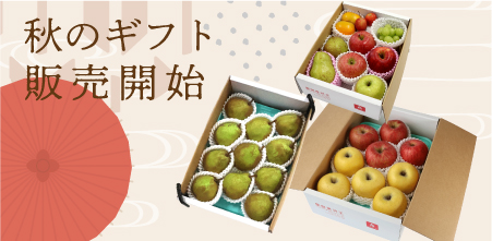 オンラインショップはこちら
