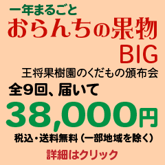 おらんちの果物BIG