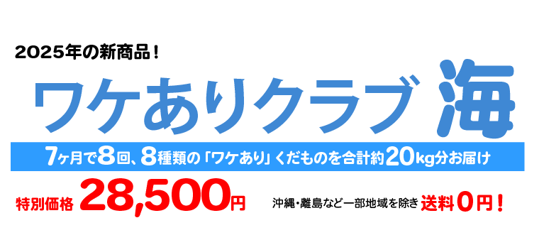 ワケありクラブ 海とは