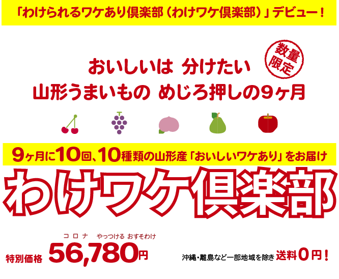 わけワケ倶楽部