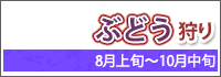 ぶどう狩り