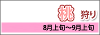 桃狩り