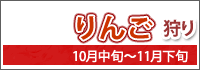 りんご狩り